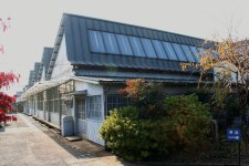 織物参考館”紫”