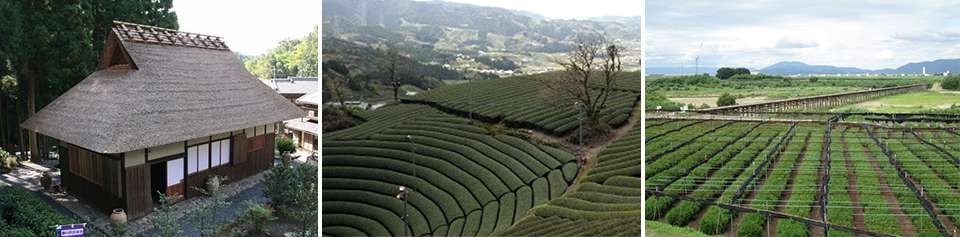 左：宗円生家/中：和束町原山の景観/右：流れ橋と浜茶