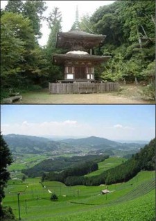 鷲峰山 金胎寺