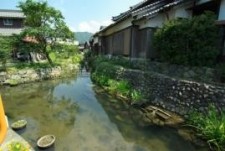 伊庭の水辺景観