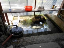 針江・霜降の水辺景観