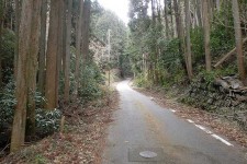 芋峠