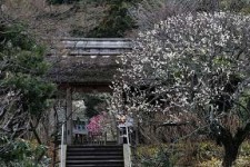 東慶寺