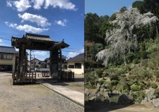 医光寺、庭園、総門、中門、木造釈迦如来坐像、木造薬師如来坐像、木造弘法大師坐像、木造伝龍門士源坐像、益田宗兼像、山水図、崇観寺跡