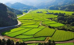 農村景観(田染荘小崎の農村景観)