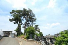 おくのほそ道の風景地（末の松山）