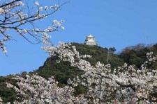 岐阜城復興天守