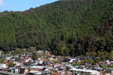 智頭の林業景観 