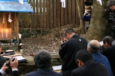 対馬の亀卜習俗