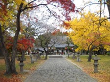 おくのほそ道の風景地（木の下及び薬師堂）