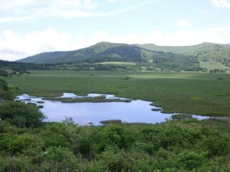 八島ヶ原湿原