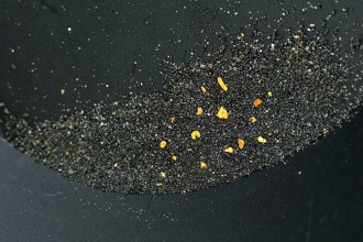 箟岳・涌谷の砂金 