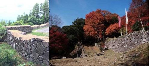 角埋山と角牟礼城跡（森町の庭園とテーブルマウンテン）