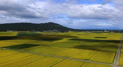 箟岳山
