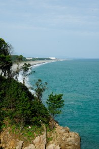 熊野古道高野坂