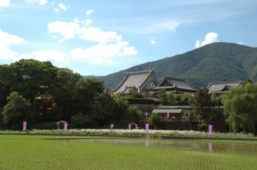 美馬の寺町