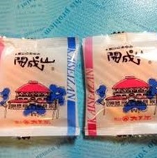 【一本の水路ブランド】郡山のあゆみ開成山