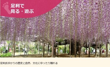 【足利市（足利学校周辺）】足利の見どころ一覧！！