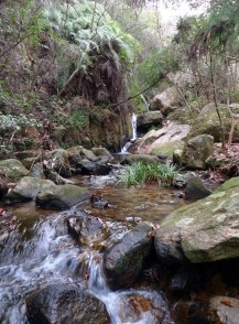 血吸川（ちすいがわ）