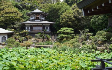 光明寺