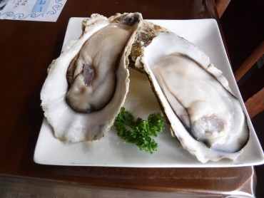 陸前高田市広田湾産カキ