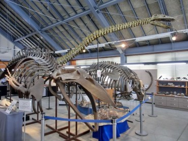 沼田町化石体験館