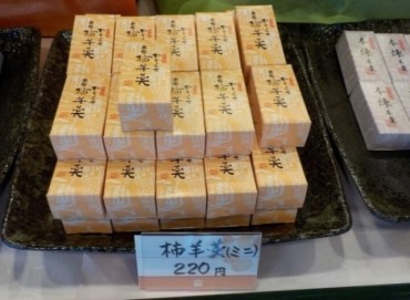 【一本の水路ブランド】奥州奥の細道　柿羊羹