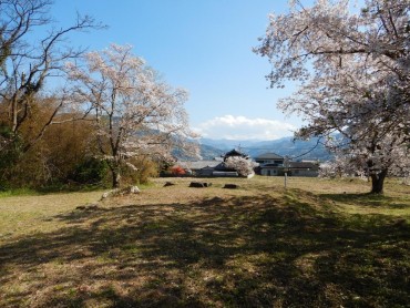 郡里廃寺跡