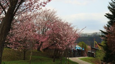 幸福の黄色いハンカチ想い出ひろば