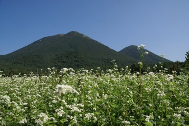 三瓶そば