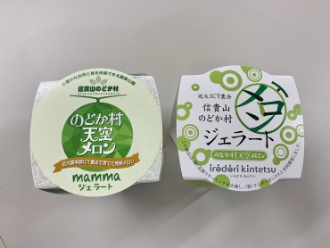 のどか村天空メロンジェラート （（株）農業公園信貴山のどか村)