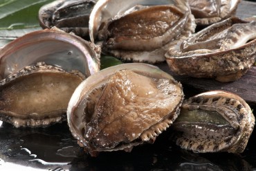 鳥羽志摩のアワビ