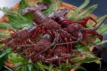 鳥羽志摩といえば伊勢エビ！