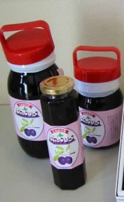 つぶつぶ ハスカップソース