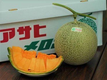 追分アサヒメロン