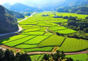 田染荘小崎の農村景観（たしぶのしょうおさき）