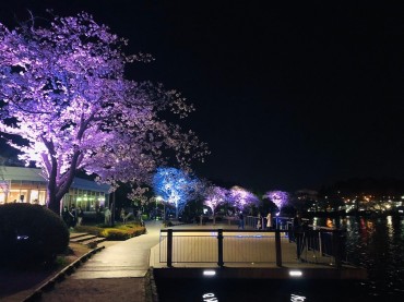 [水戸市]水戸の桜まつり