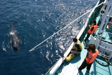 南紀マリンレジャーサービス