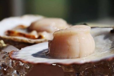 陸前高田市広田湾産ホタテ