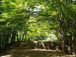 高山城跡