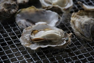 牡蠣(鏡オイスター)
