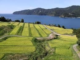 内外海地区の漁家民宿群