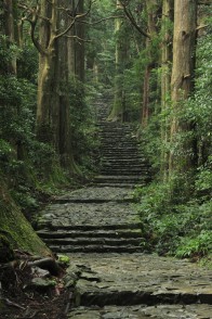 熊野古道　大門坂