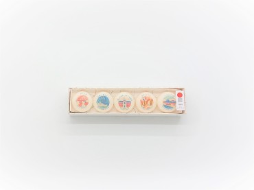 蜜屋　いろいろ最中