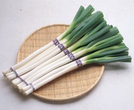 弓ヶ浜特産白ネギ