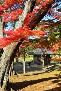 「“伊達”な文化」が息づくまち　宮城県多賀城市の観光情報