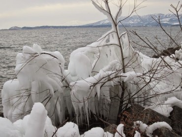 いなわしろ新八景