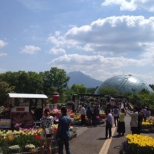 とっとり花回廊