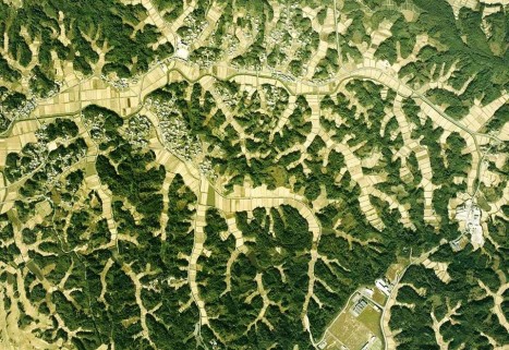 忍者の里の複雑な地形