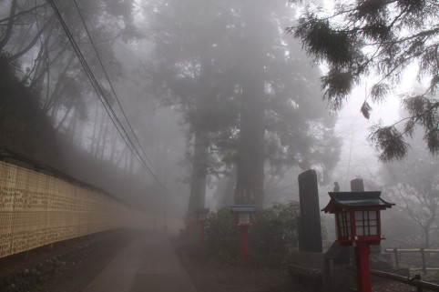 高尾山のスギ並木と杉苗奉納板